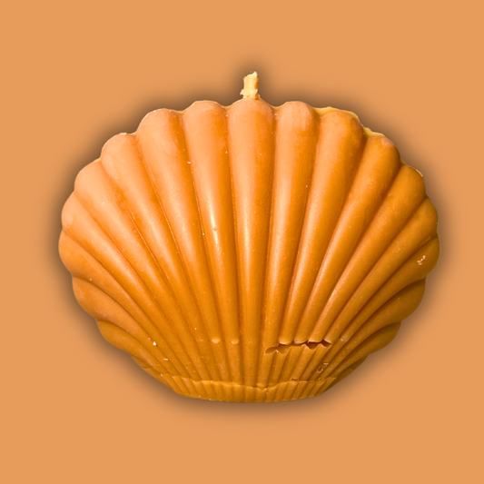 Orange Seashell Candle